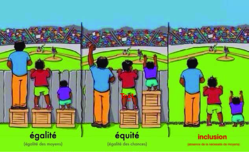 inclusion